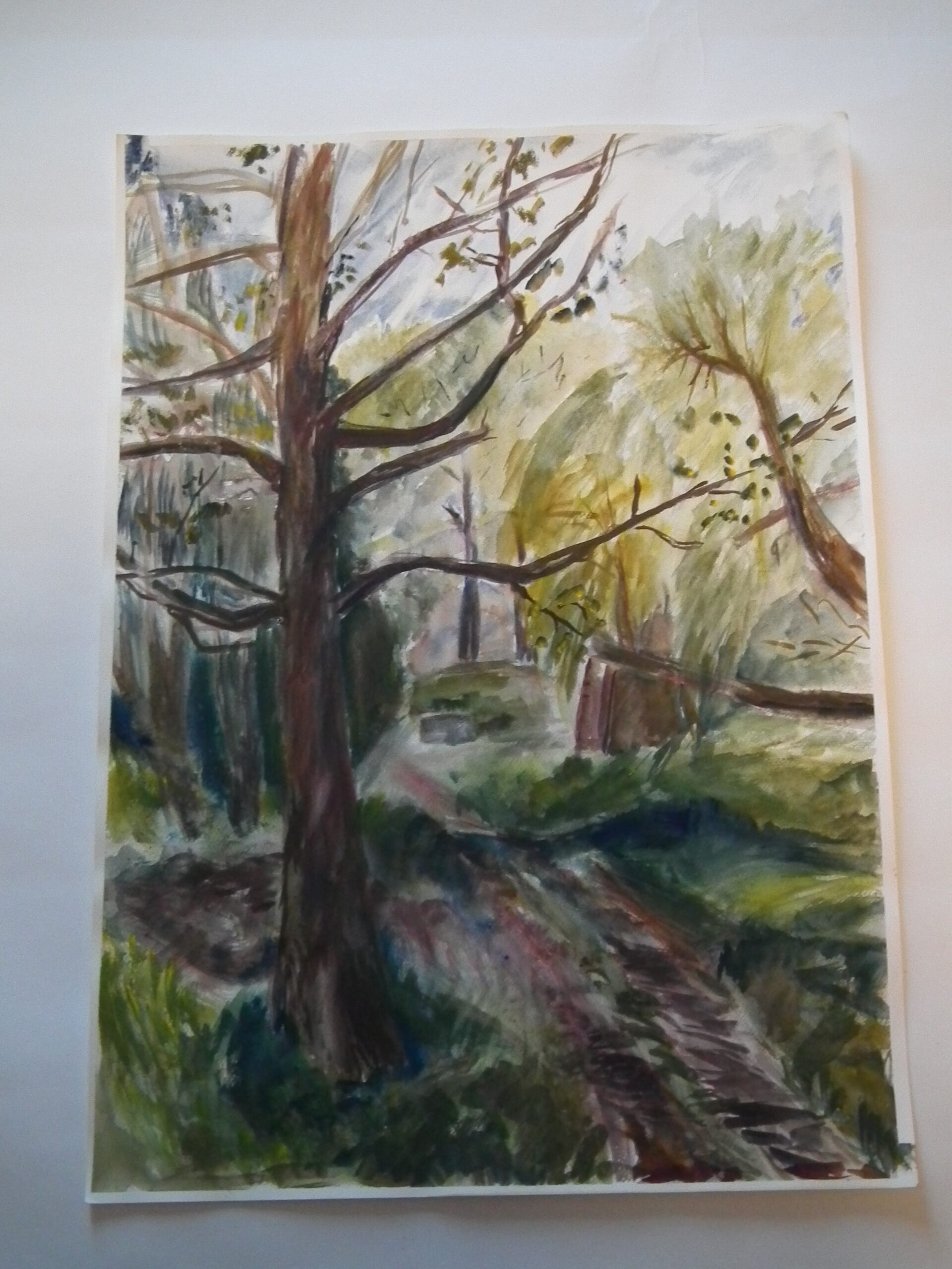 Lapinlahden puisto, akvarelli, A2.